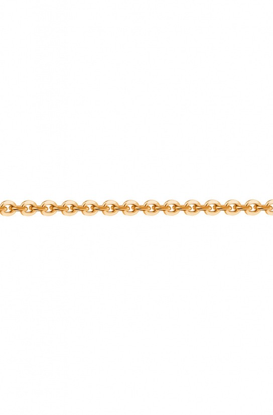 Цепь Я160СА4-А51